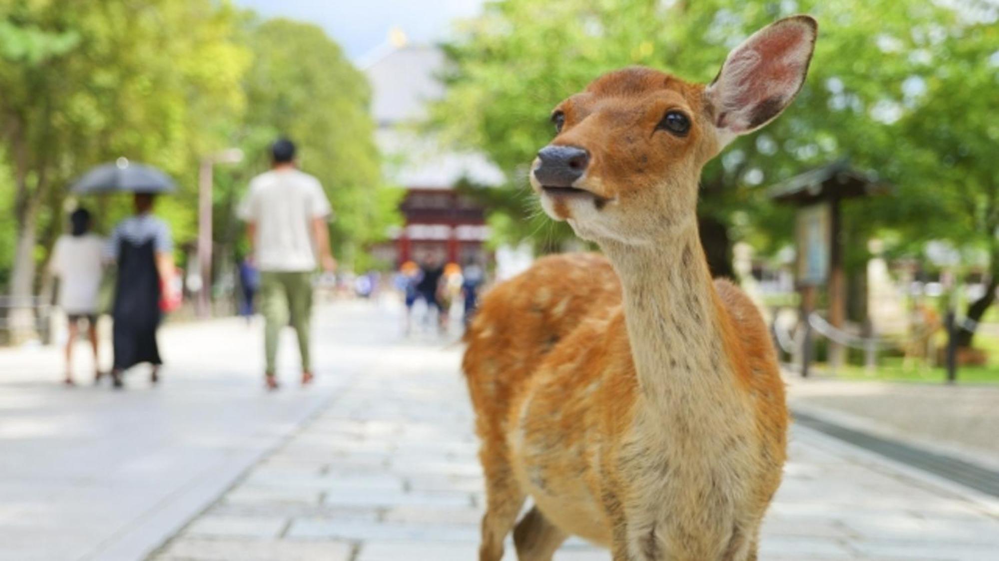 Hotel Arashi Nambaminami Osaka Bagian luar foto